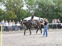 IMG_1376_web